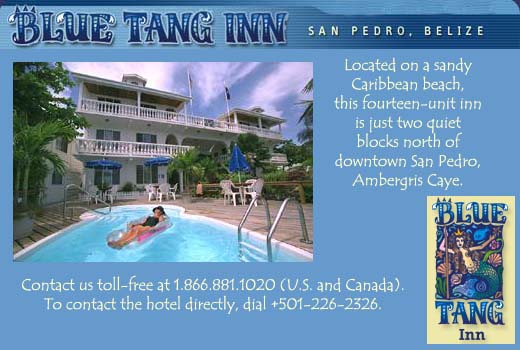 The Blue Tang Inn, San Pedro, Ambergris Caye, Belize