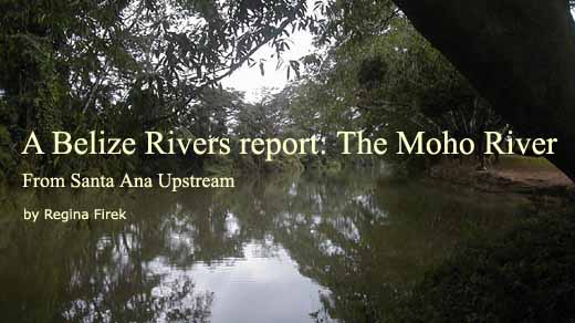 The Moho River - From Santa Ana Upstream
