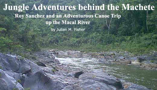 Jungle Adventures behind the Machete