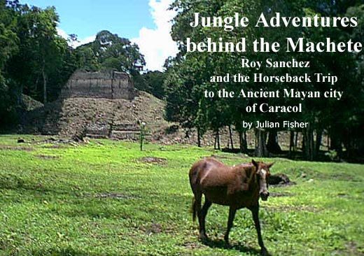 Jungle Adventures behind the Machete