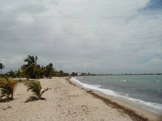 Long stretches of white sand beach mark the Placencia Peninsula.