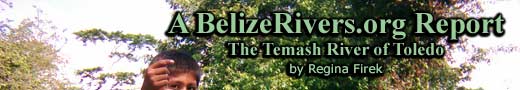 A BelizeRivers.org Report - The Temash River
