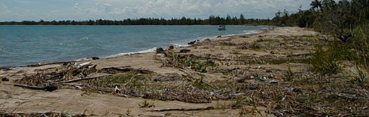 The beach near Punta Negra Lagoon in the Toledo District of Belize